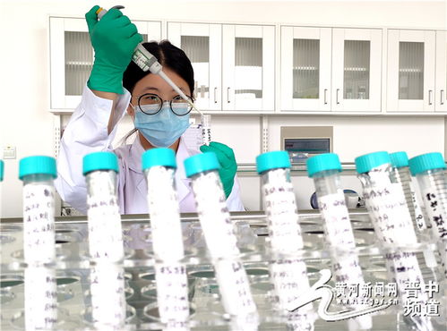 全省首家動(dòng)物疫病診斷試劑順利通過(guò)gmp認(rèn)證